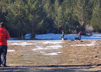 Potražni timovi gorskih službi spašavanja iz Hrvatske i BiH zajedno se uvježbavali Blidinju